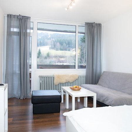 Apartmany Na Tanvaldskem Spicaku Jiretin pod Bukovou Ngoại thất bức ảnh
