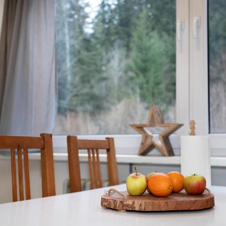 Apartmany Na Tanvaldskem Spicaku Jiretin pod Bukovou Ngoại thất bức ảnh